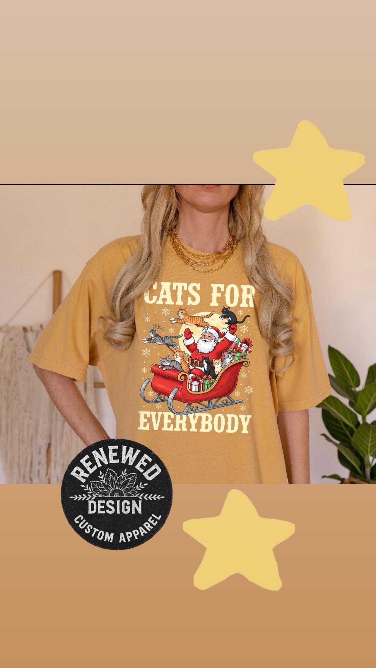 Cats for everyone